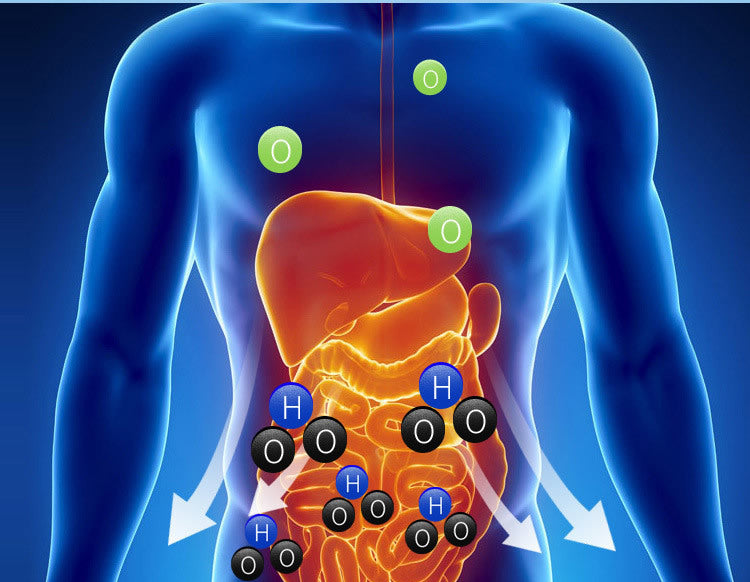 500ML Portable Hydrogen Generator Water Filter Ionizer Pure H2